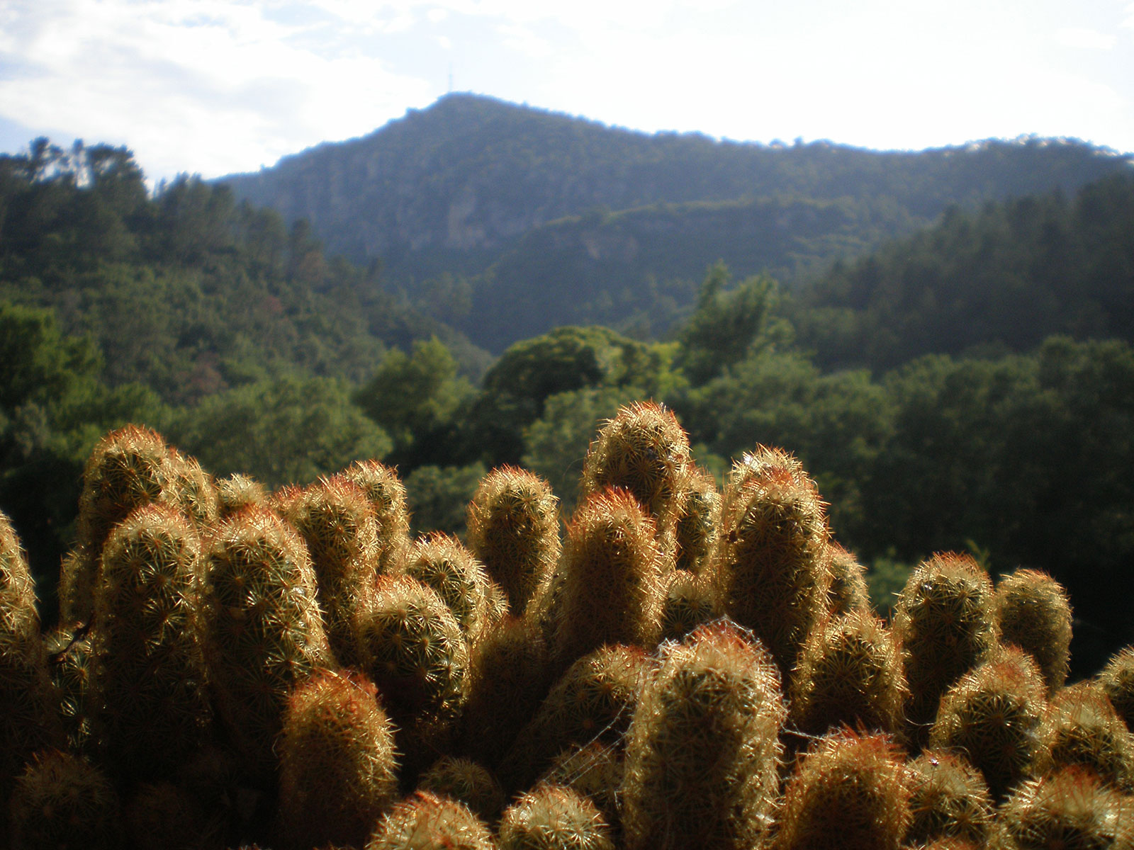 Pachoquin vue sur la Vallée